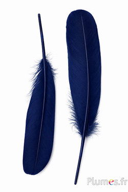 Zwaan zijde - 25-30 cm - donkerblauw